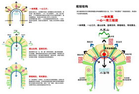 排版|方案|结构|空间