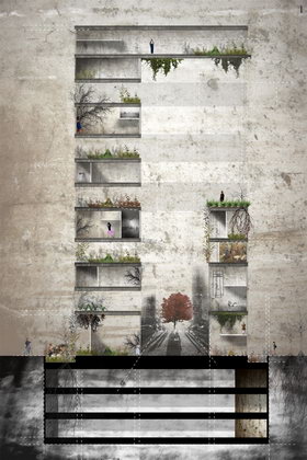 建筑剖面